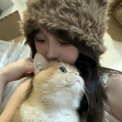 金牌贱猫:重新出击